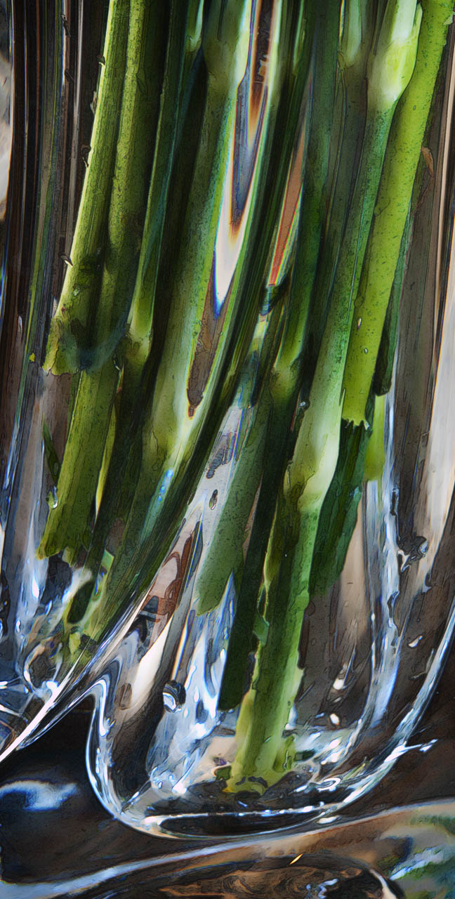 Jim Cox Photos Stems