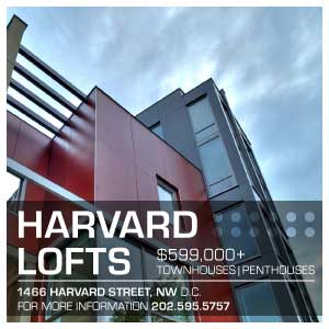 condos for sale, Washington DC, Harvard Lofts, 1466 Harvard Street, NW, Washington DC