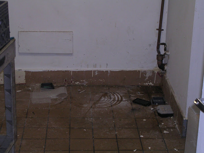 The back room - incredibly discusting - Tina cleaned back here for hours