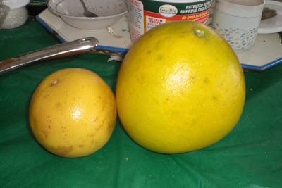 grapefruit size grapefruit size