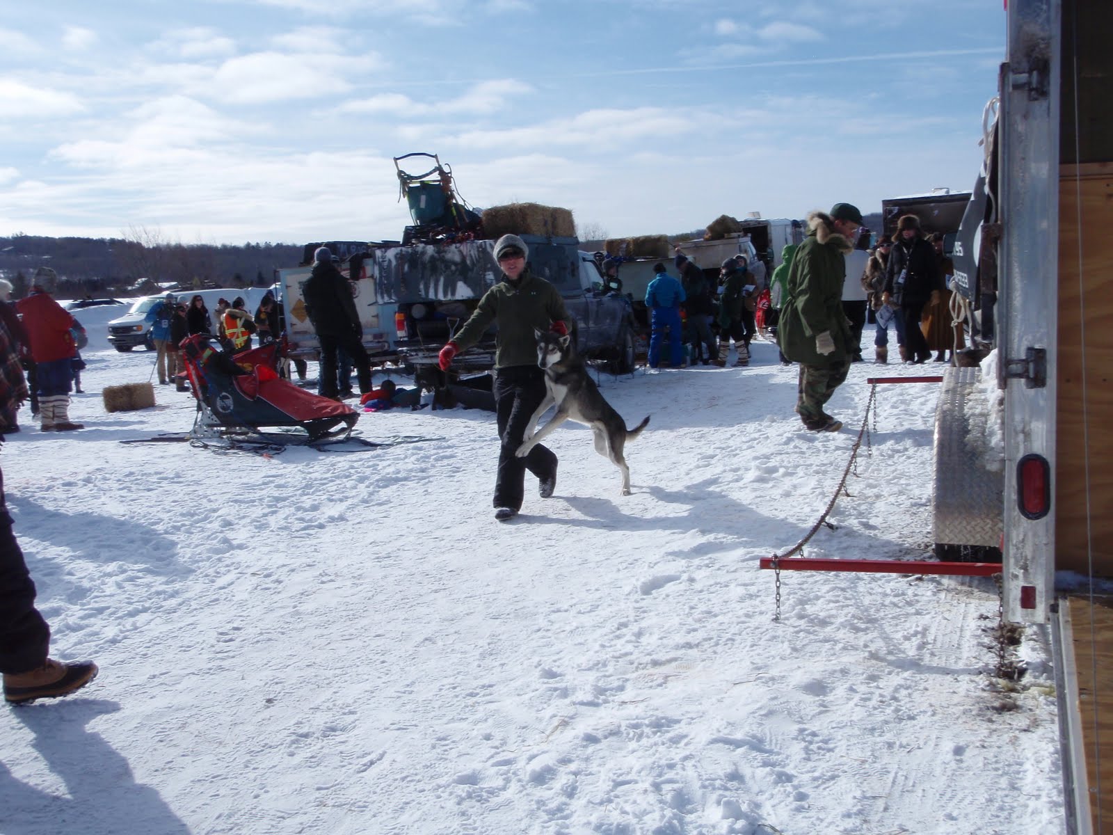 John Beargrease Sled Dog Race – John Beargrease Sled Dog Marathon – FVBWBY