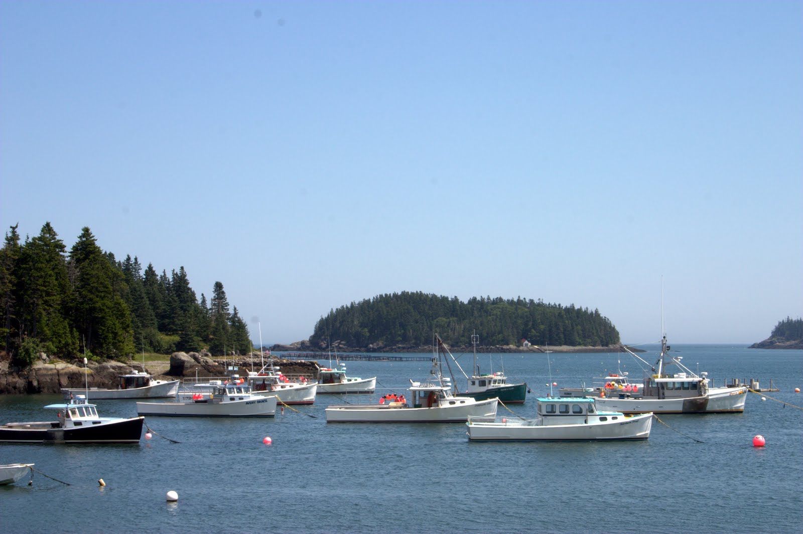 View from the North Bank july 18 Seawall to Eastport