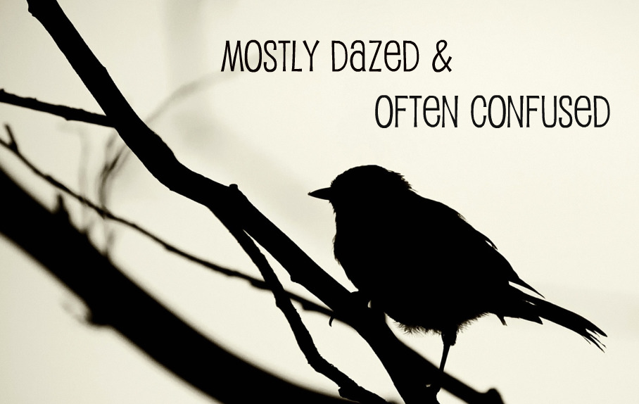 Mostly Dazed & Often Confused