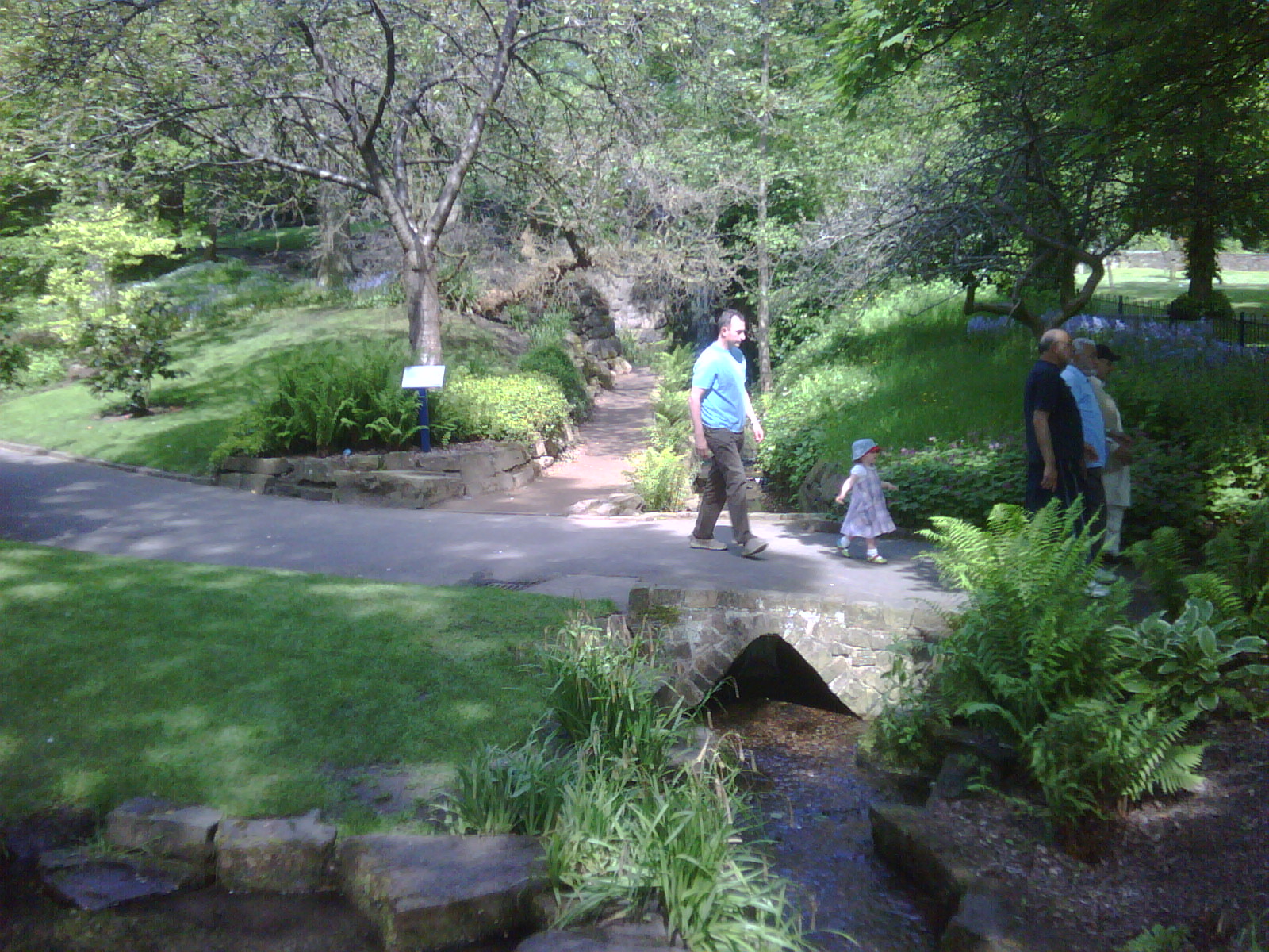 [IMG00008-20090525-1102.jpg]