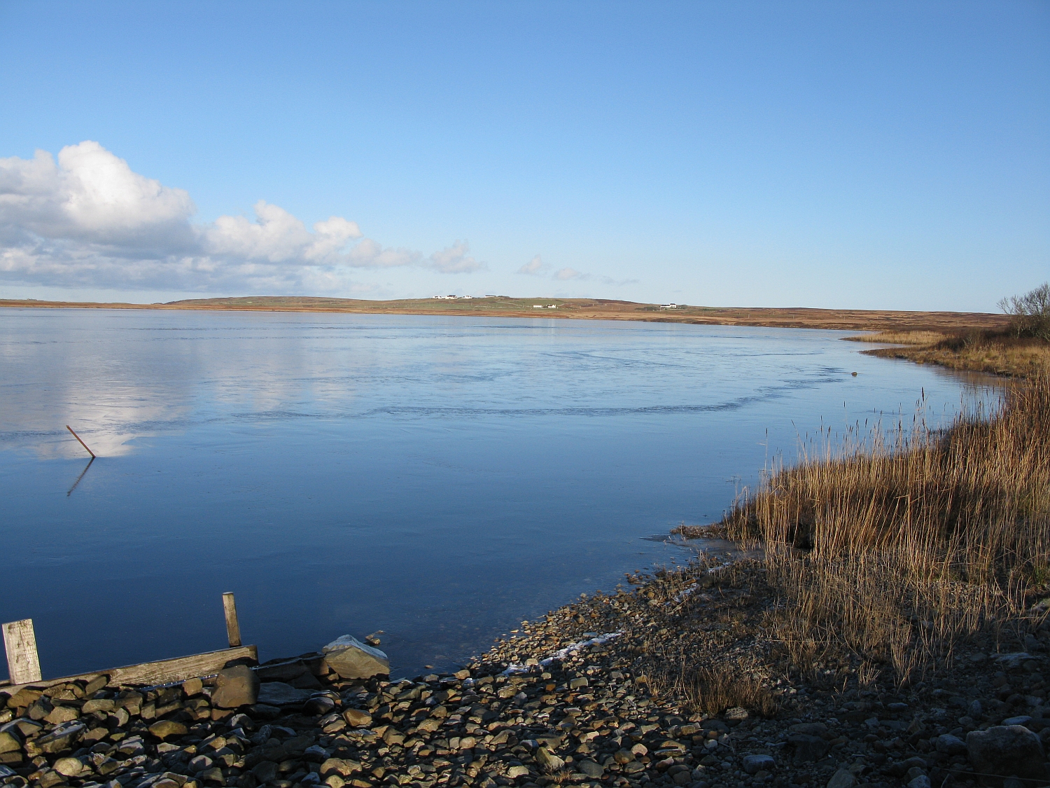 Islay Natural History Trust Loch Gorm