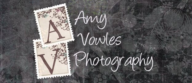 Amy Vowles Photography