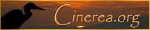 CINEREA ORG