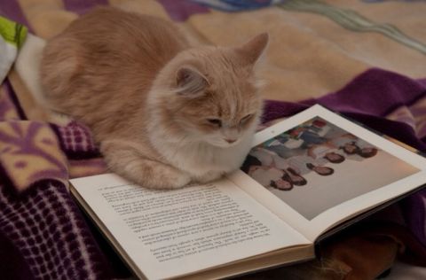 [030607-HomeParty.jpg]