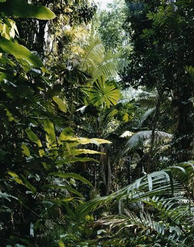 Children S Publishing Blog Kinderbuch Und Illustration