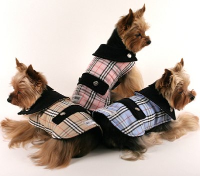 dog burberry coats coco coat spoof pampered merlin afternoons dogs styler anorak pooches