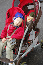 Stroller Napping