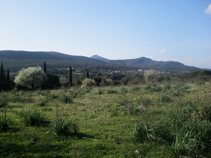 Μαχαιρα Ακαρνανιας [ Αποψη απο το Σκορπστο ]