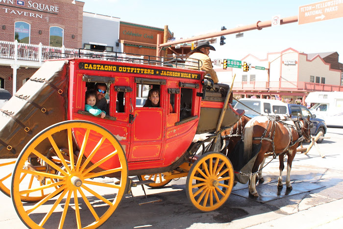 Carriage ride around Jackson Hole