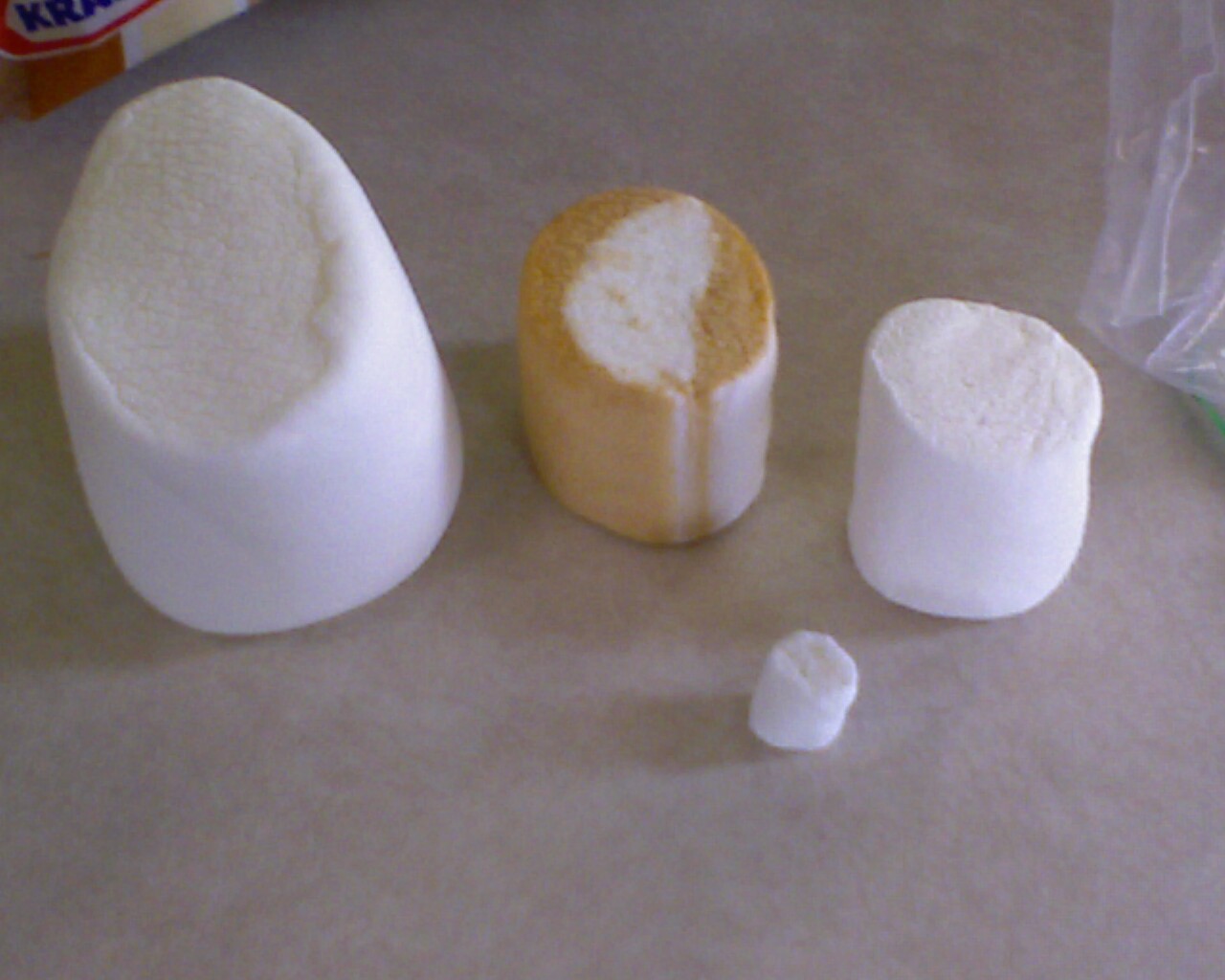 My Practically Perfect Life Giant Campfire Roasting Marshmallows