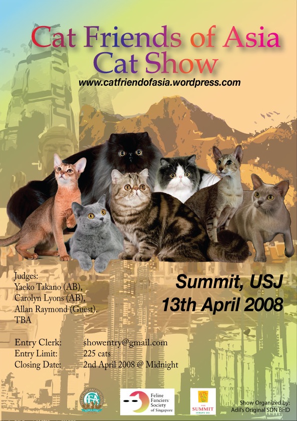 Кэт групп. Cats show журнал. CFA выставки. Cats-friends группа. Cats friends бренд.