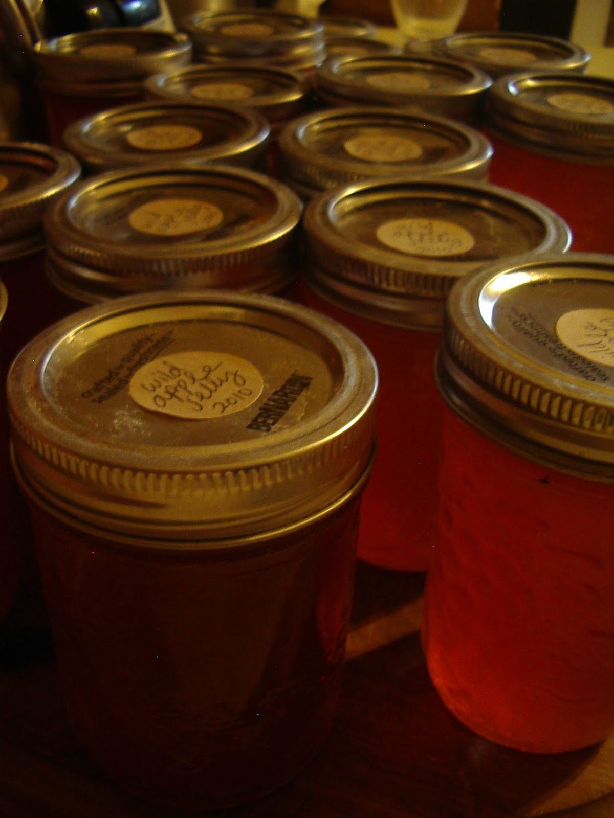 Little City Farm Fall jams & jellies apricot, wild apple, spiced