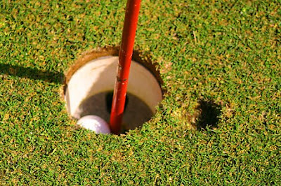 Hole In One! Image from Dogschasingcars.com
