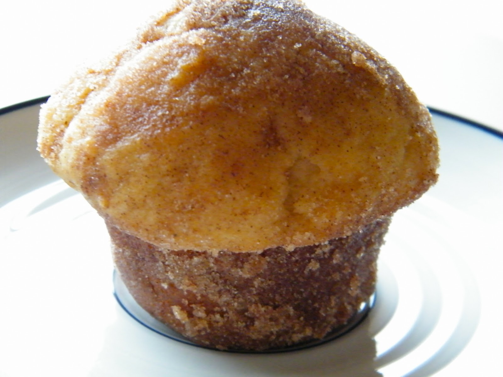 Amy Rose Designs The Donut Muffin