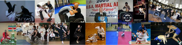PROFILES OF MARTIAL ARTISTS WITH DISABILITIES