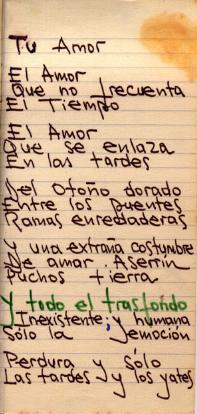 Cuadernos de Luis Hernandez