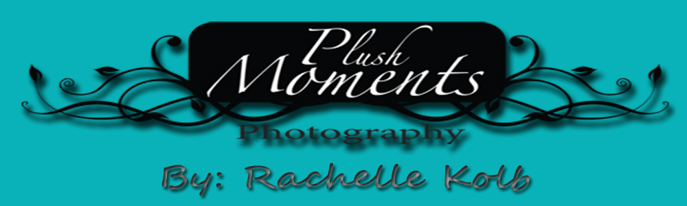 Rachelle Kolb Photography-PlushMoments