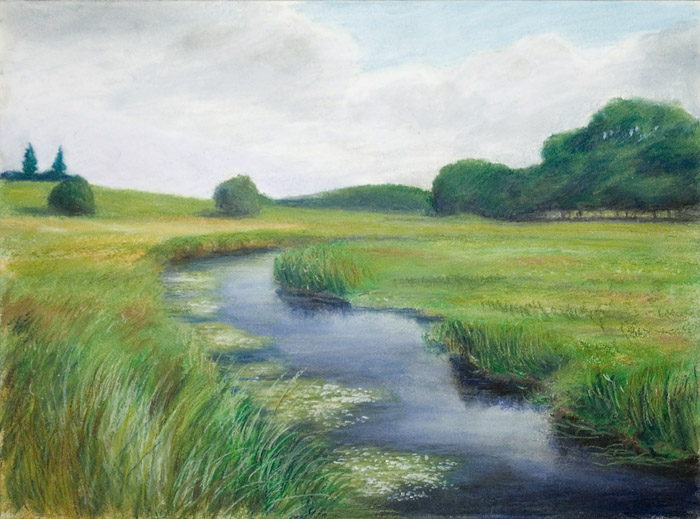 Stig's Paintings: Oil pastel: Stream with water-crowfoot