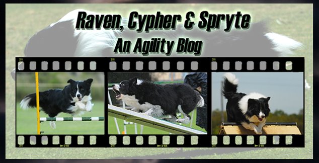 Raven, Cypher & Spryte - An Agility Blog