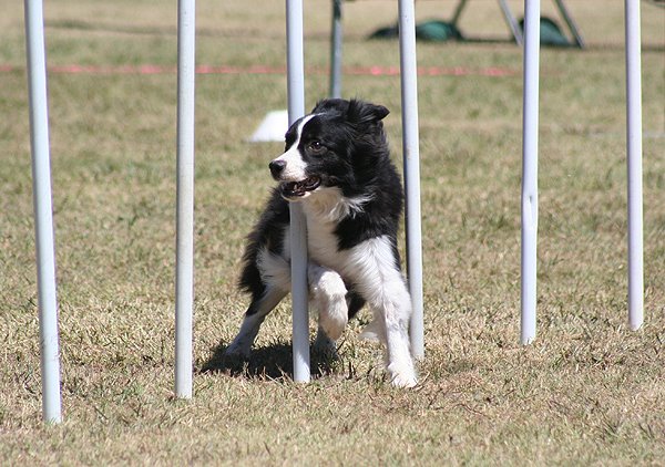 [ravegdm1bcnats.jpg]