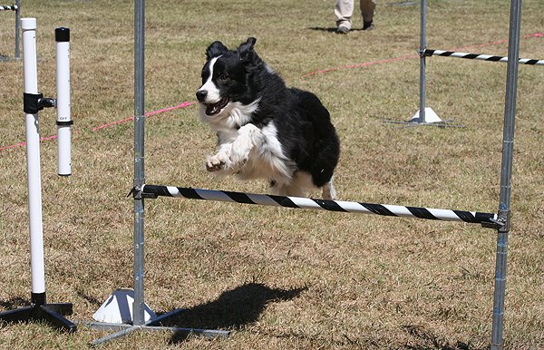 [ravegdm2bcnats.jpg]