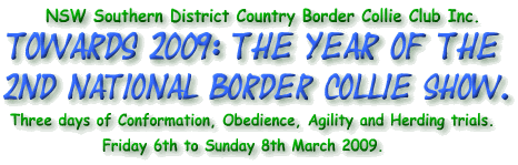 [Towards2009_titleAA.gif]