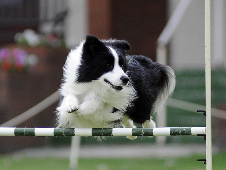 [stateag09flyte.jpg]