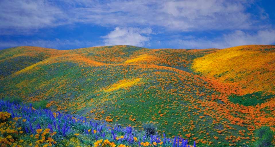 Bing Wallpaper: April 30 2010 Bing Wallpaper: April 30 2010