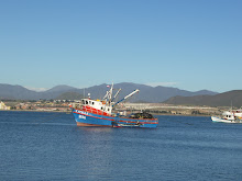 COQUIMBO    CUARTA REGION    CHILE