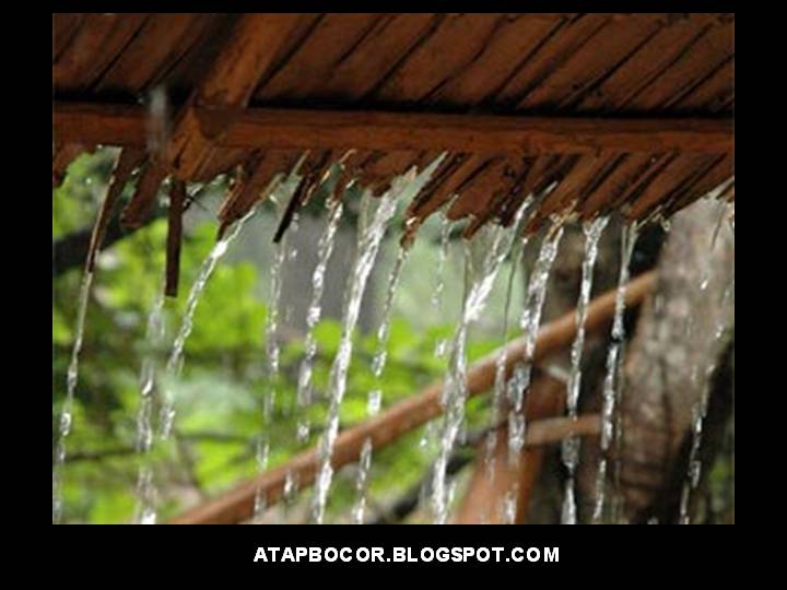 Atap Bocor