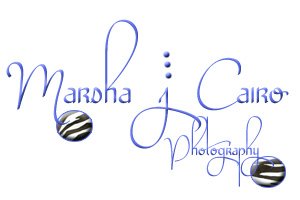 Marsha  j  Cairo Photography