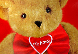 [TeAmoBear.jpg]