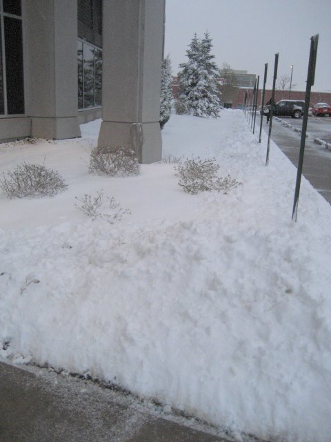 [IMG_3156.jpg]