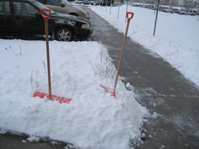 [IMG_3153.jpg]