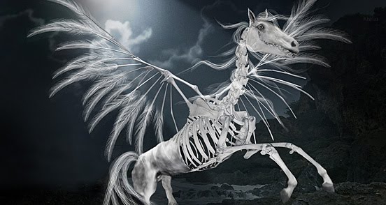 [Cheval+fantôme.jpg]