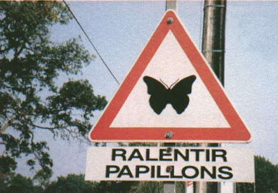 Minute papillons attention