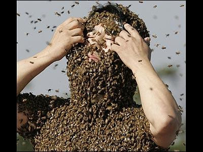 Homme abeilles