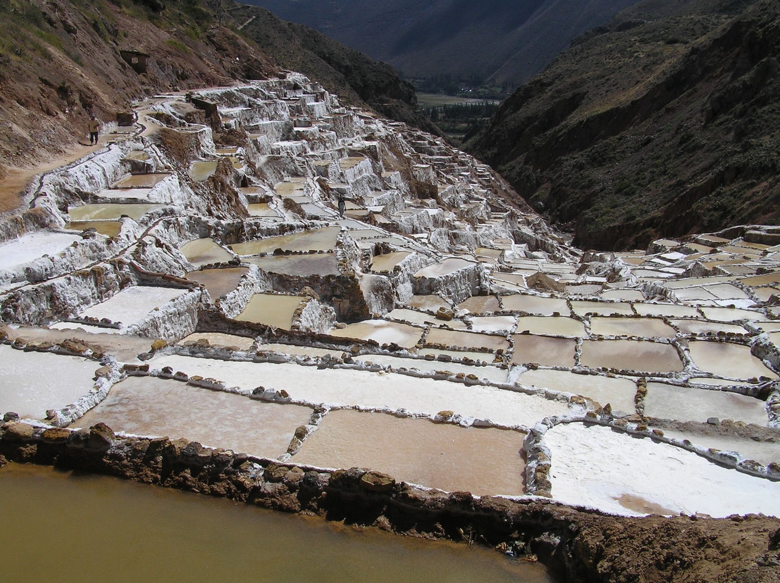 A lifetime of crazy, fun and unique adventures! The incredible Inca