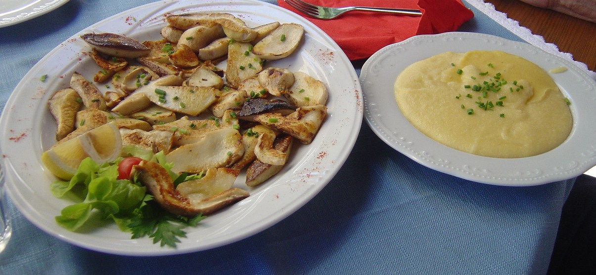 Zibaldone culinario Funghi porcini alla griglia