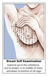 chart of self breast exam