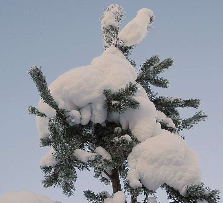 [IMG_0001-1.JPG]