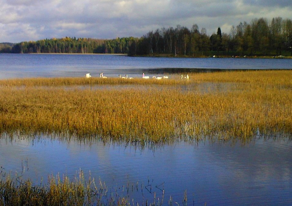 [Valokuva0658.jpg]