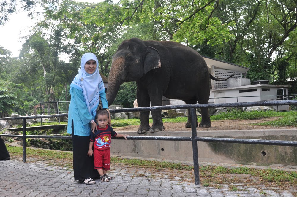 Look Who's Talking Now! Akeef Zoo Negara