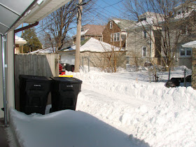 and several abandoned cars