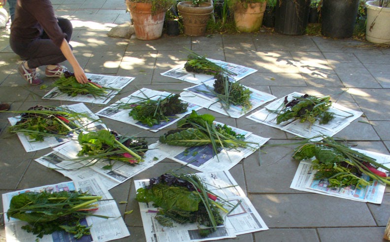 La Garden Blog Month By Planting Guide For Southern La Garden Blog Month By Planting Guide For Southern