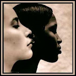 O que é diversidade cultural?